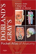 Dorland's Gray's : Pocket Atlas of Anatomy