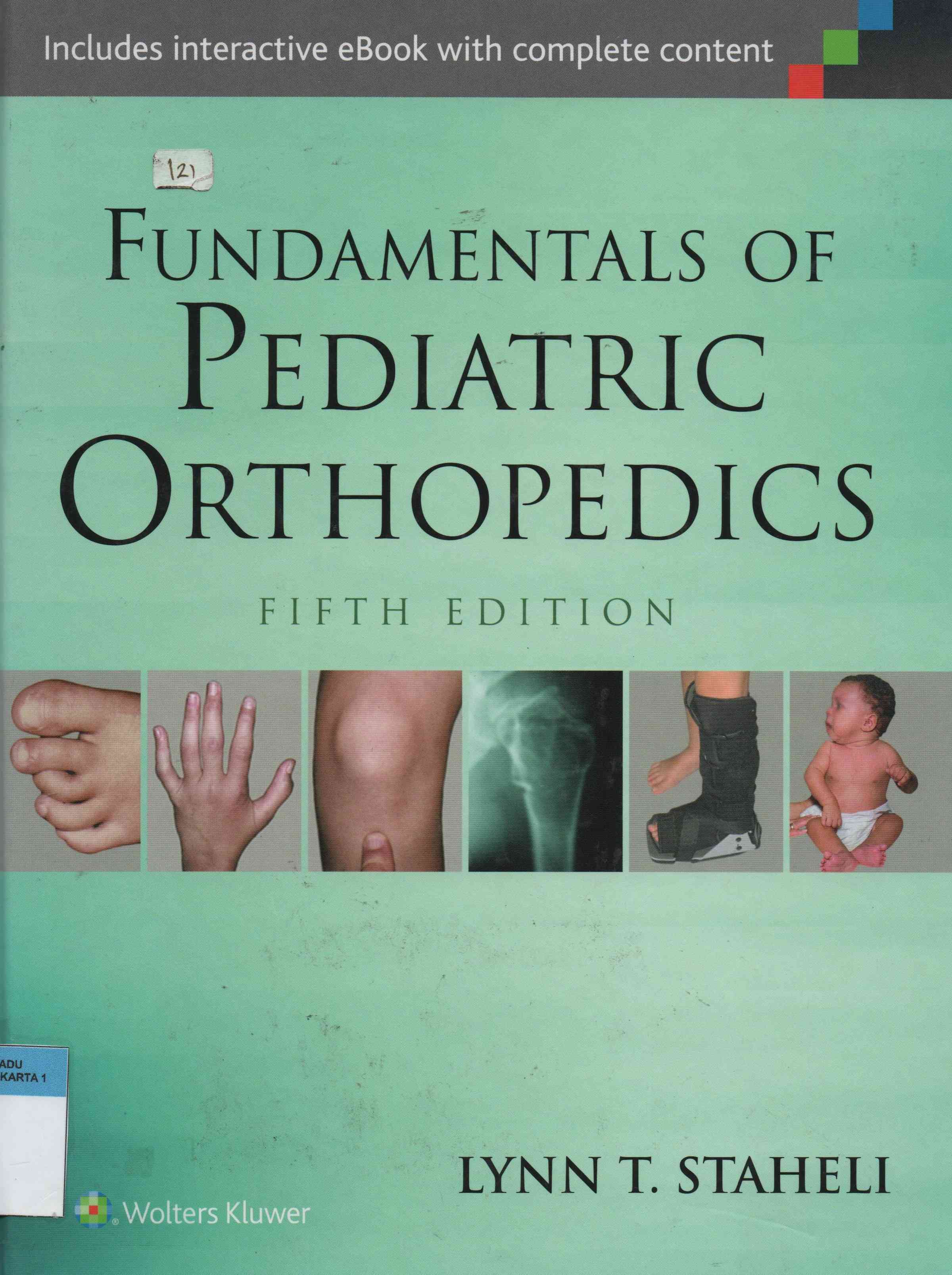 Fundamental of pediatric orthopedics (Fifth Edition)