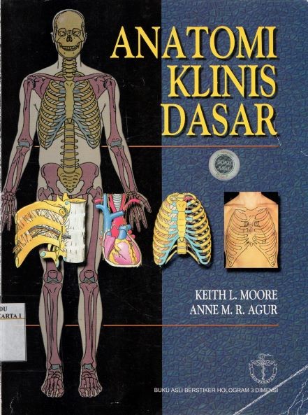 Anatomi Klinis Dasar