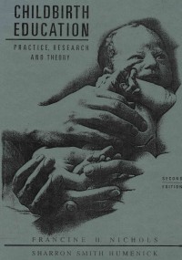 Childbirth Education : Practice,Research and Theory