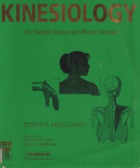 Kinesiology: The Skeletal System and Muscle Function