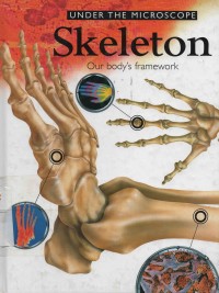 Under The Microscope Skeleton Our Body s Framework 2