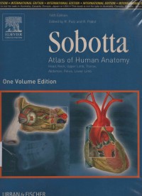 Sobotta Atlas of Human Anatomy (Head,Neck,Upper Limb, Thorax, Abdomen, Pelvis, Lower Limb)