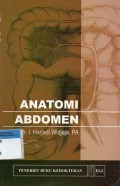 Anatomi Abdomen