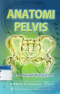 Anatomi Pelvis